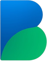 Bluneo Logo